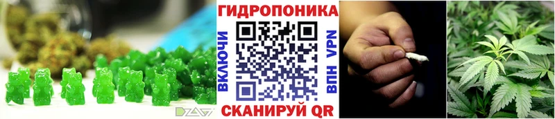 где купить   Приволжск  Cannafood конопля 