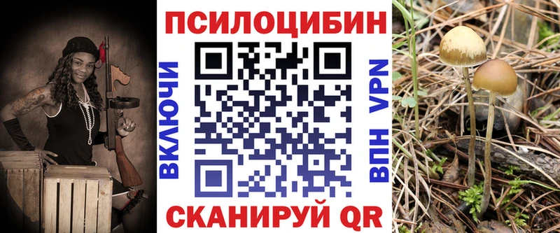 Галлюциногенные грибы мицелий  omg как зайти  даркнет телеграм  Приволжск 
